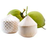 DỪA