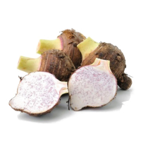 KHOAI SỌ