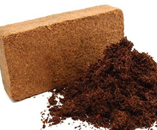 Mụn sơ dừa ( Cocopeat )