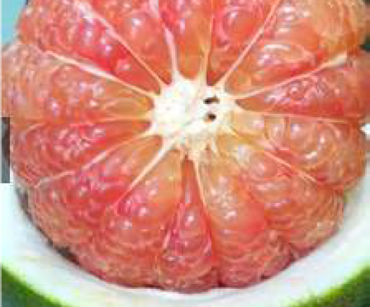 BƯỞI TƯƠI