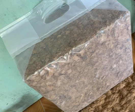 cocochip block 5kg