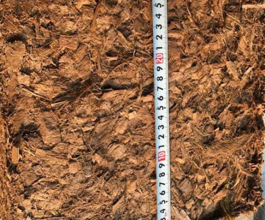 cocochip block 5kg
