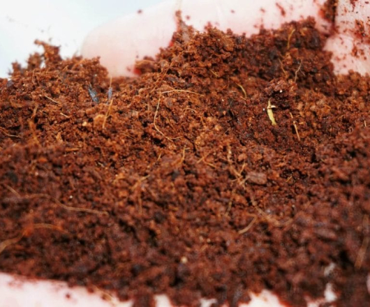 Mụn sơ dừa ( Cocopeat )